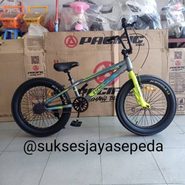 Sepeda anak BMX Pacific 20" Hotshot XCR 8.0 Fatbike