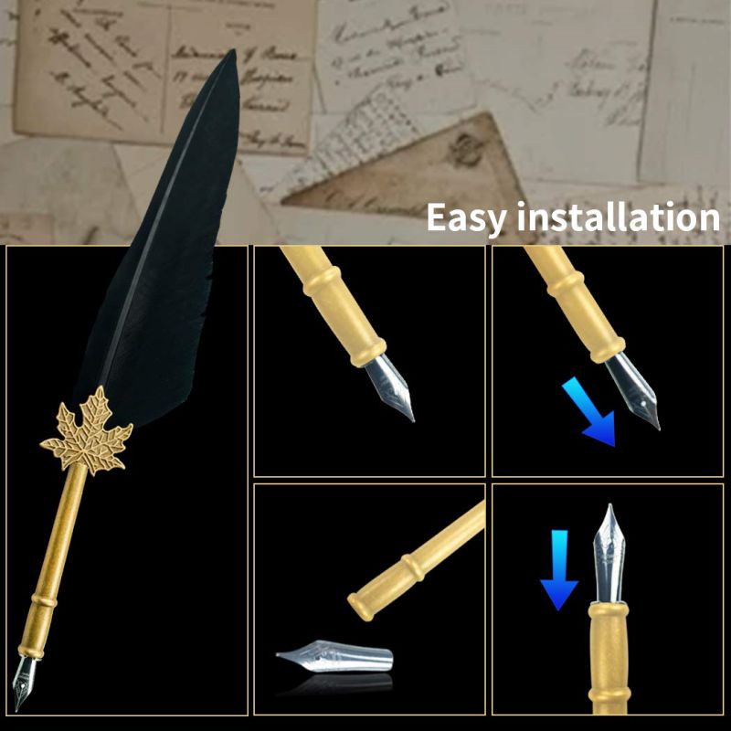 Pulpen Bulu Set Pena Bulu Vintage Pena Fountain Kaligrafi Stainless 6 Nibs Pena Fountain Kaligrafi