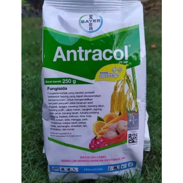 Antracol 70 wp 250 gram