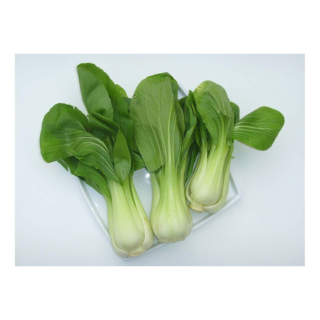 

PAKCOY 1 ikat / Sayur Segar