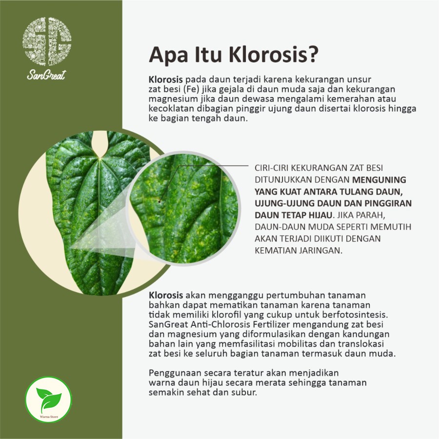 Pupuk Anti Klorosis Tanaman Obat Daun Kekuningan dari SanGreat 100 ml