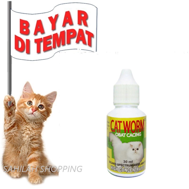 OBAT CACING KUCING CACINGAN AMPUH CAT WORM