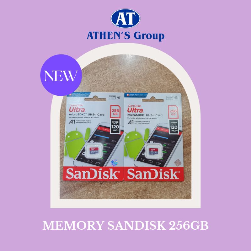 MEMORY SANDISK 256GB
