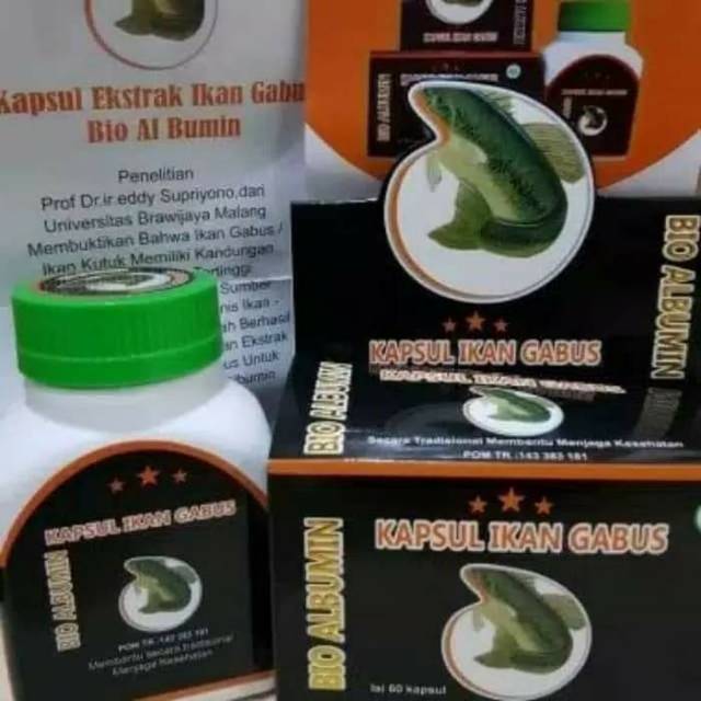 Kapsul Ikan Gabus Bio Albumin