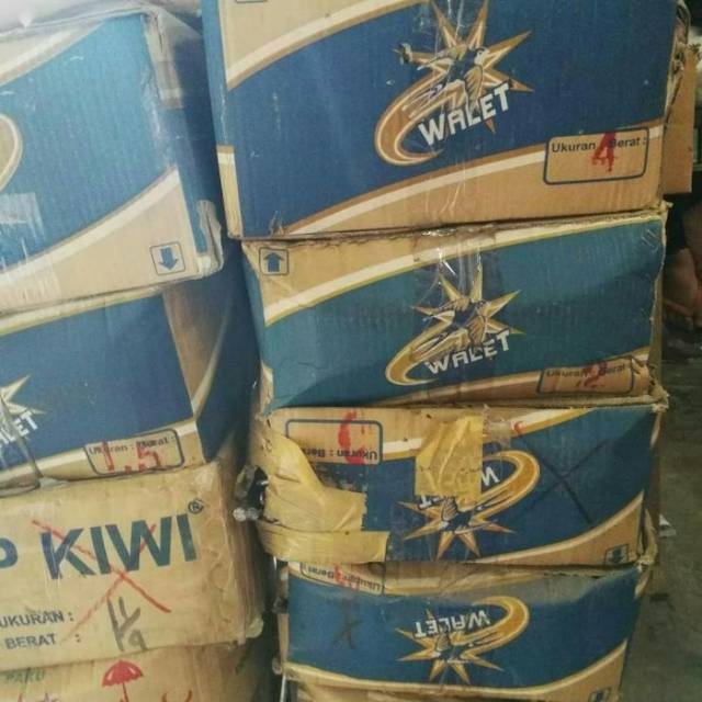 PAKU KAYU PER DUS
