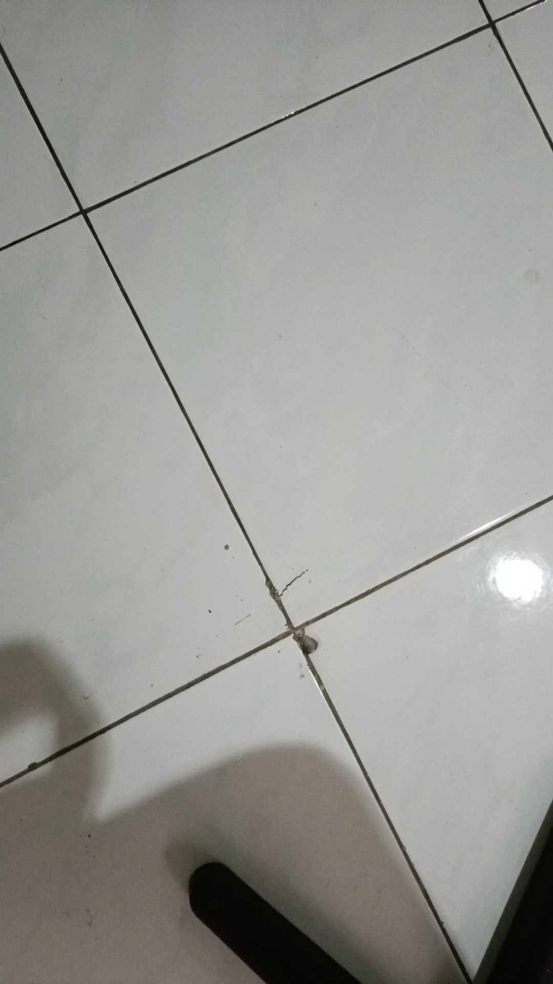 Pot Acrylic Mutiara/pot Akrilik/pot Kosmetik/pot Cream/pot Krim 10 G Putih/pot Kosmetik