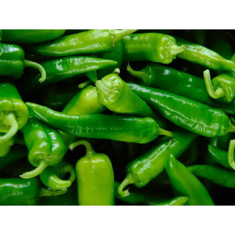 

Cabe hijau besar (500gram)