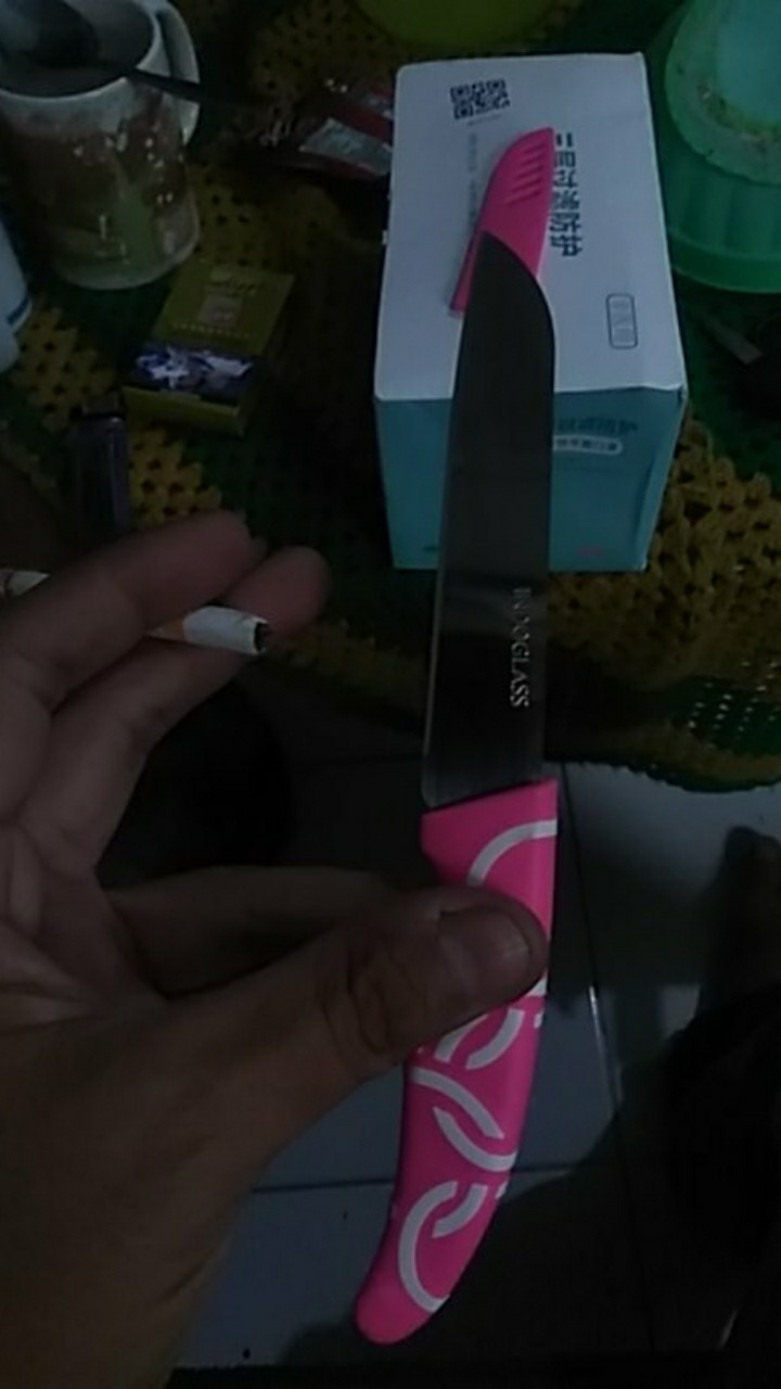 Pisau Apel Pisau Dapur Untuk Potong Buah Dan Sayur Bahan Stainless