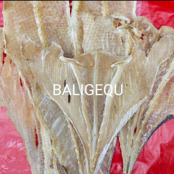 

Ikan Pari Medan 250 gram