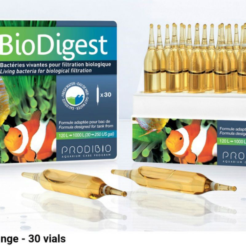 PRODIBIO BIODIGEST 1 VIALS / AMPUL