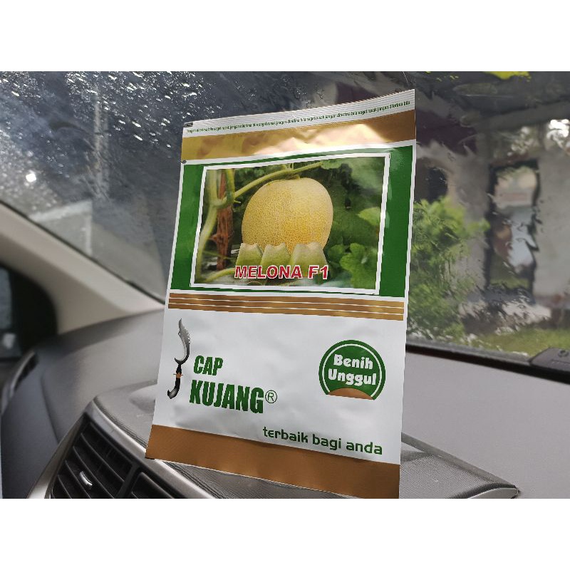 Melon MELONA F1 CAP KUJANG