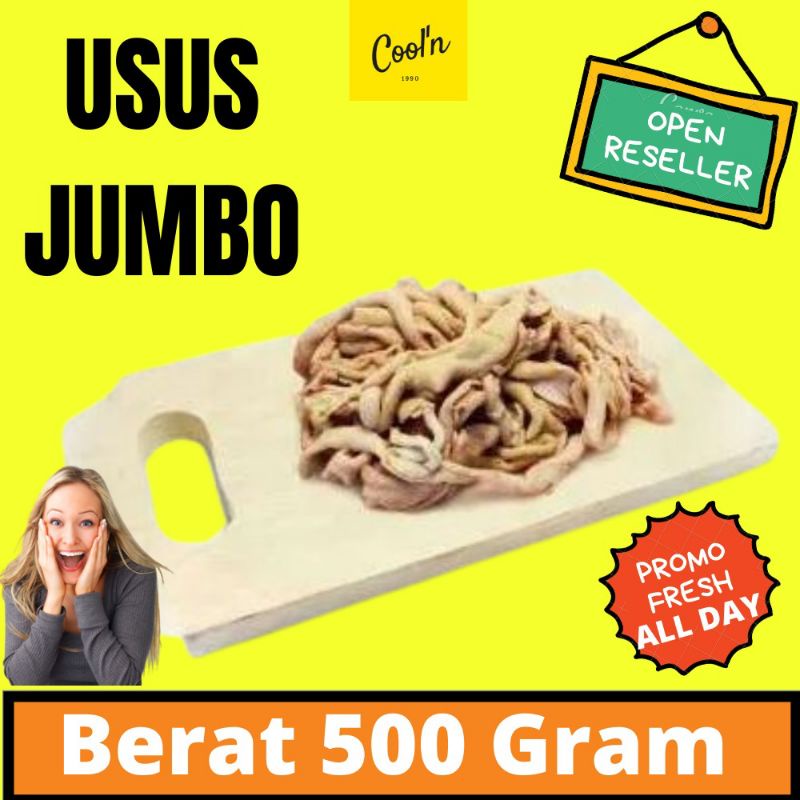 

Usus Ayam Jumbo 500 gram Segar Seger Ayam Murah Halal
