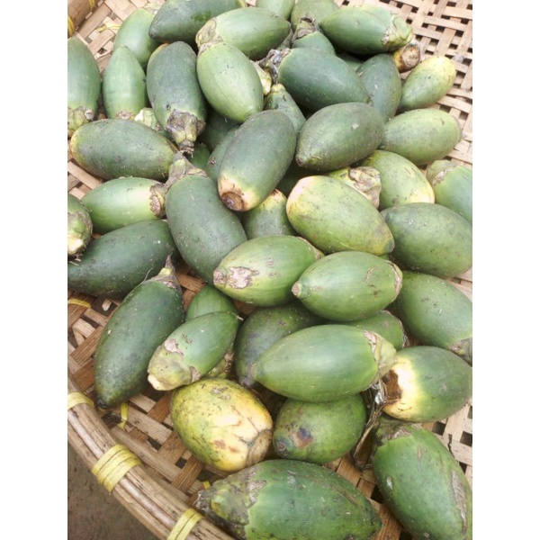 

buaah pinang muda per 1 kg
