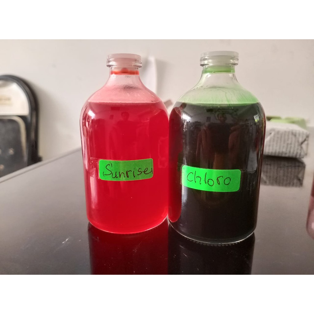 Essen Sunrise Galamata Bawal Tombro Ikan Mas Patin Essen Babon Esen By Basudewa Surabaya