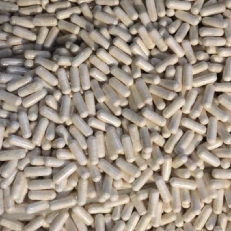 PRO ALBUMIN - 1 KAPSUL Ekstrak Ikan Gabus / Kutuk Vitamin Penambah Nafsu Makan Kucing &amp; Penyembuh Luka