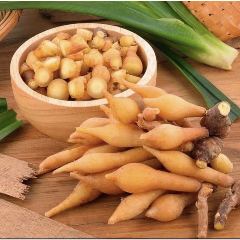 

Temu kunci Fresh unggul terlaris netto 1Kg