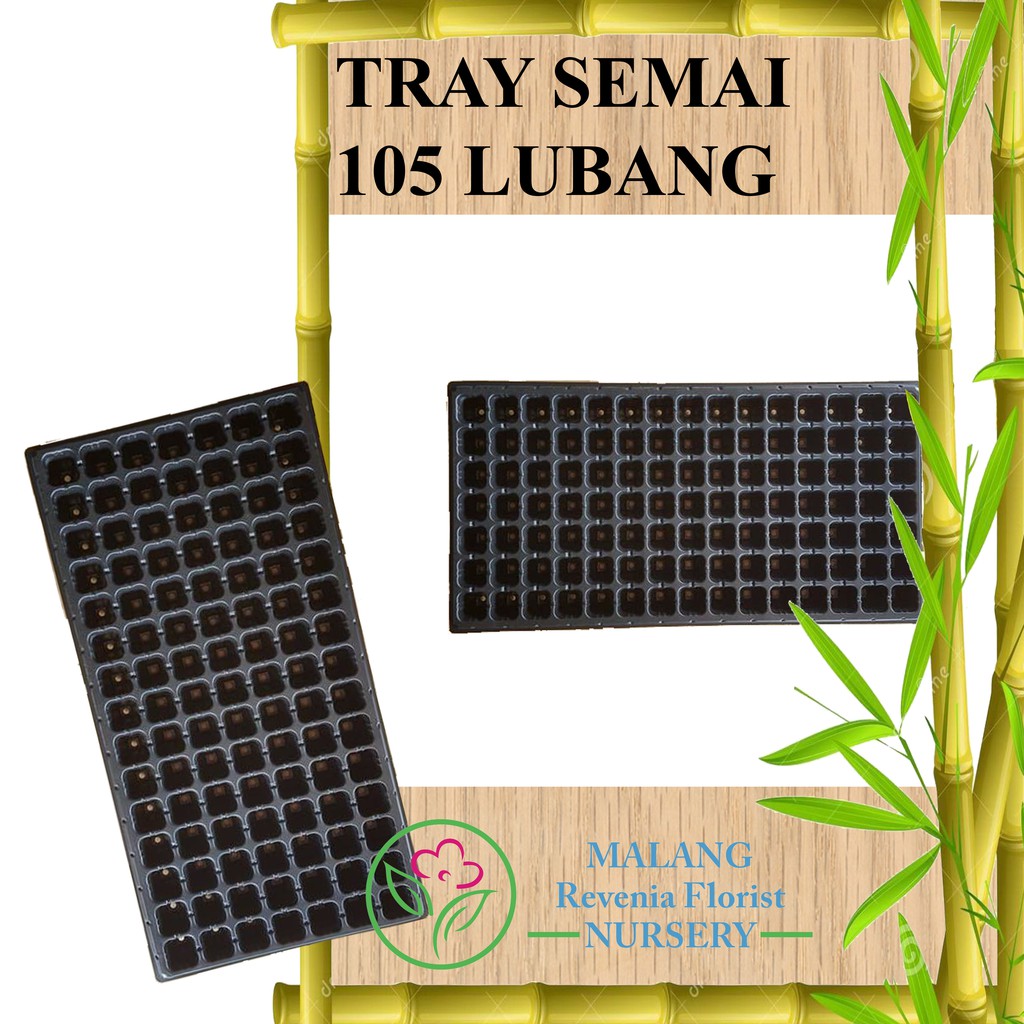 Tray Semai 105 Lubang