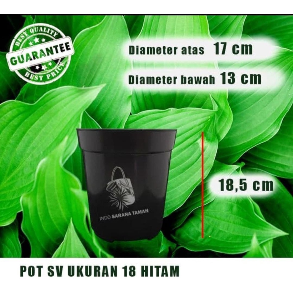 POT SV 18 HITAM Pot Tinggi Pot Tanaman Pot Bunga Pot Plastik Pot Polos Pot Unik Grosir Pot