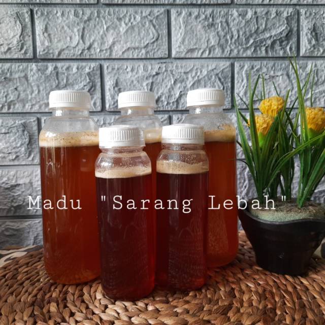 

Madu Hutan asli muara enim 600gr
