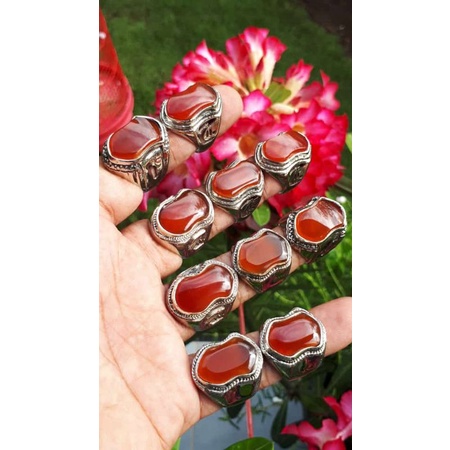 cincin akik yaman madu terompah / cincin akik sulaiman madu terompah