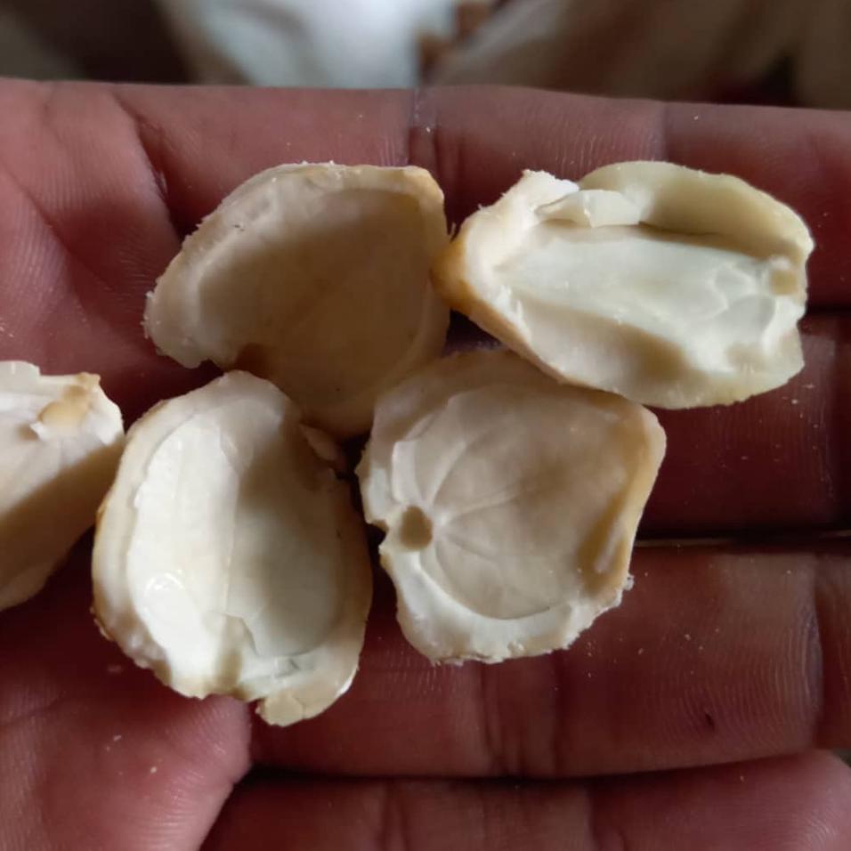 

TrxE9q4P--Kemiri Bulat | Kemiri Keping | Fresh dan Pilihan | 500gr | 1kg