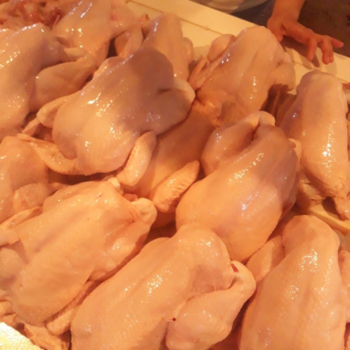 

Ayam Utuh Segar 1 Ekor