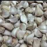 

bawang putih kating bersih 500gram