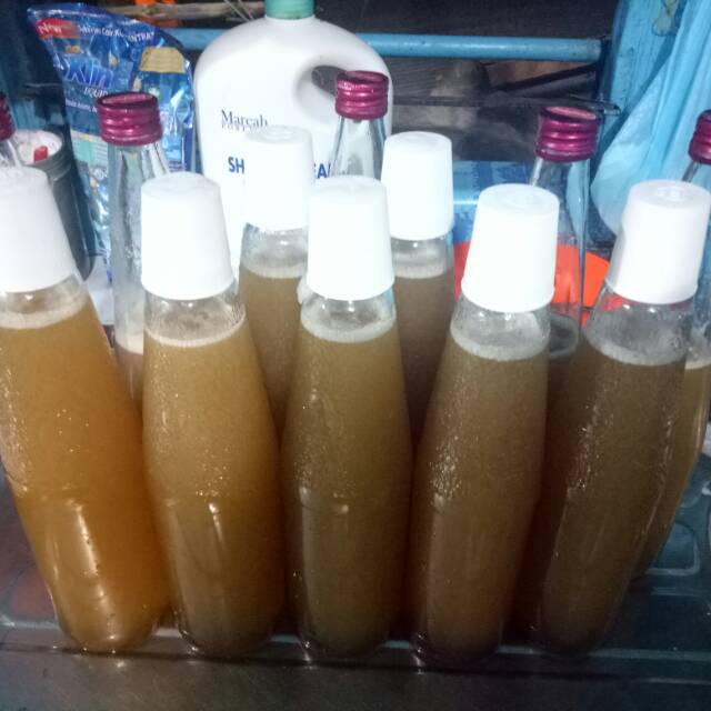 

MADU KELULUT KLANCENG TG.BATU