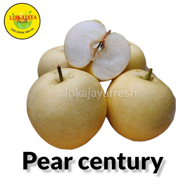 

Pear Pir Century Madu Super Manis 1 Kg