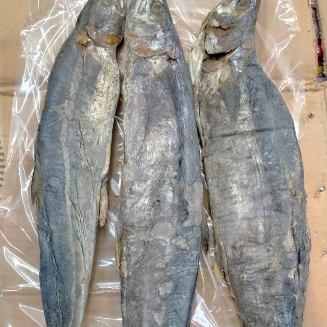 Ikan asin tenggiri Medan 1 ekor
