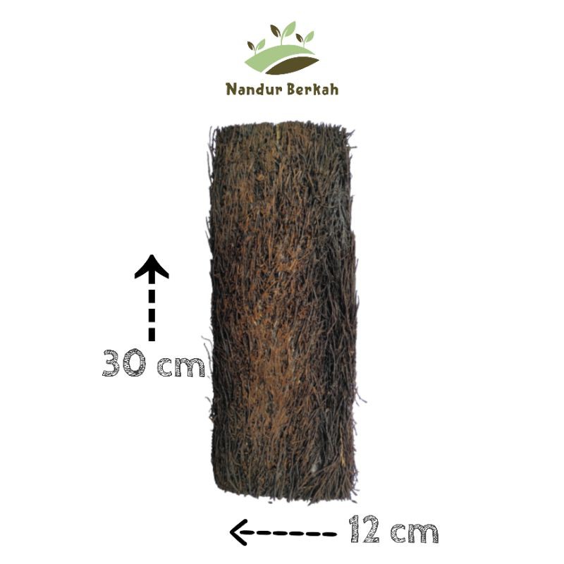 PAPAN PAKIS MEDIA ANGGREK