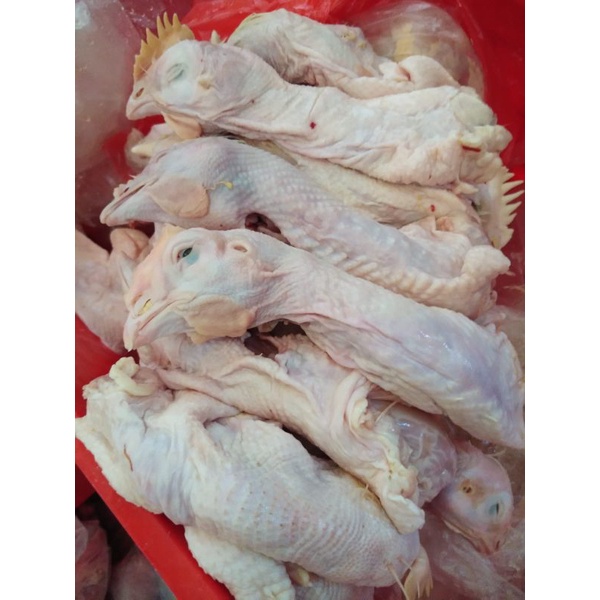 

Kepala Ayam 1kg