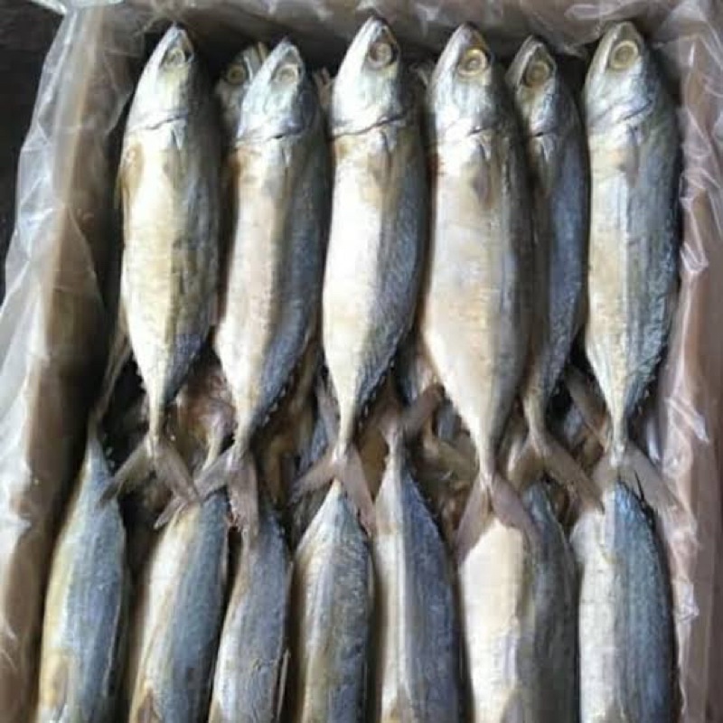 

ikan asin peda banyar 500 gram enak gurih khas pangandaran