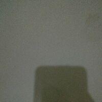 Obat Flu Batuk Demam Kucing Dan Anjing Fludem Shopee Indonesia