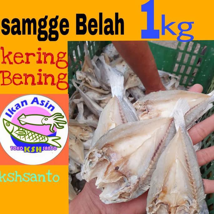 

Terlaris! Ikan Asin Samgge Belah 1Kg