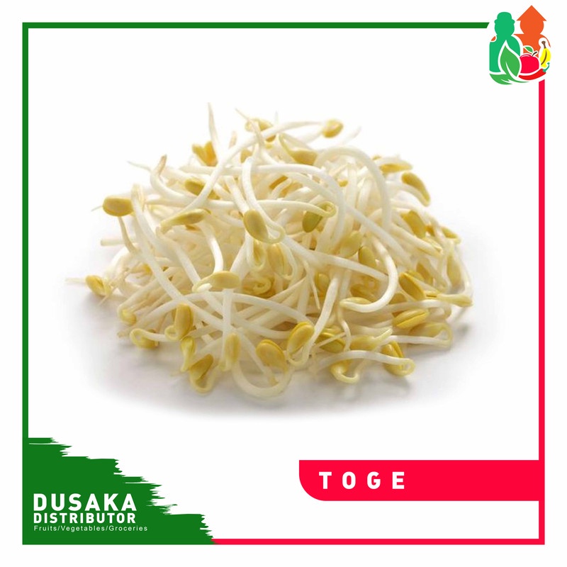 

Toge murah 500 gram