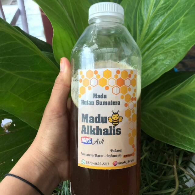 

Madu Alkhalis, Madu Hutan Sumatera asli 100%