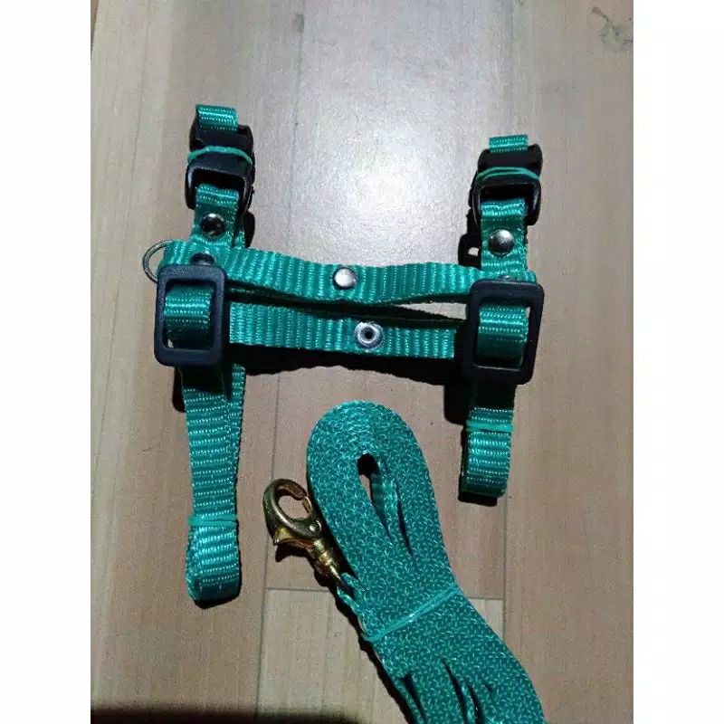 HARNES KUCING,MUSANG,ANJING DLL