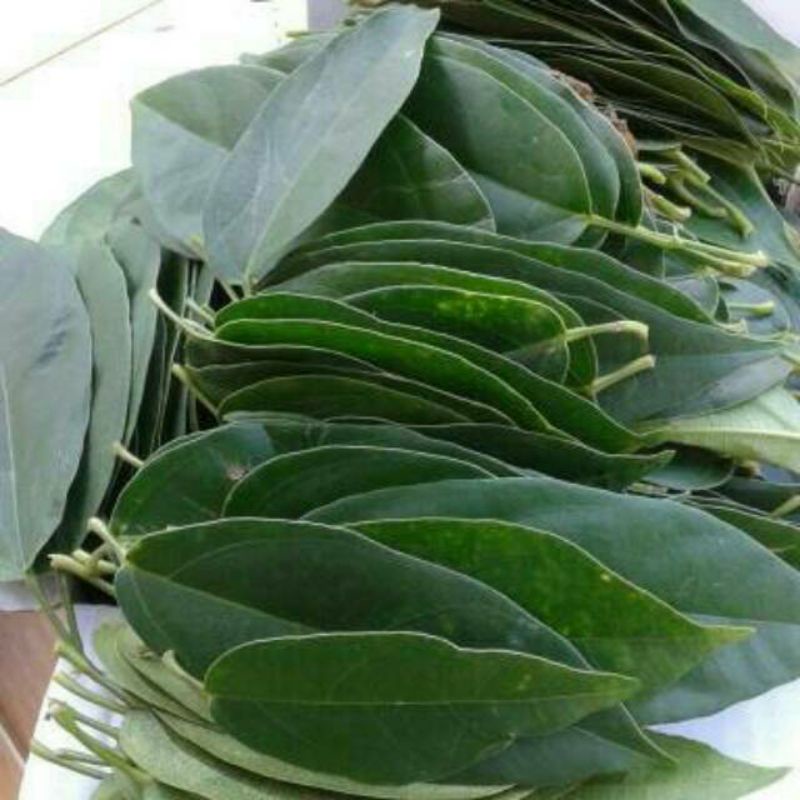 DAUN CINCAU HIJAU PERDU SEGAR 1KG