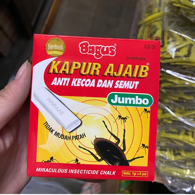 ECER KAPUR SEMUT AJAIB