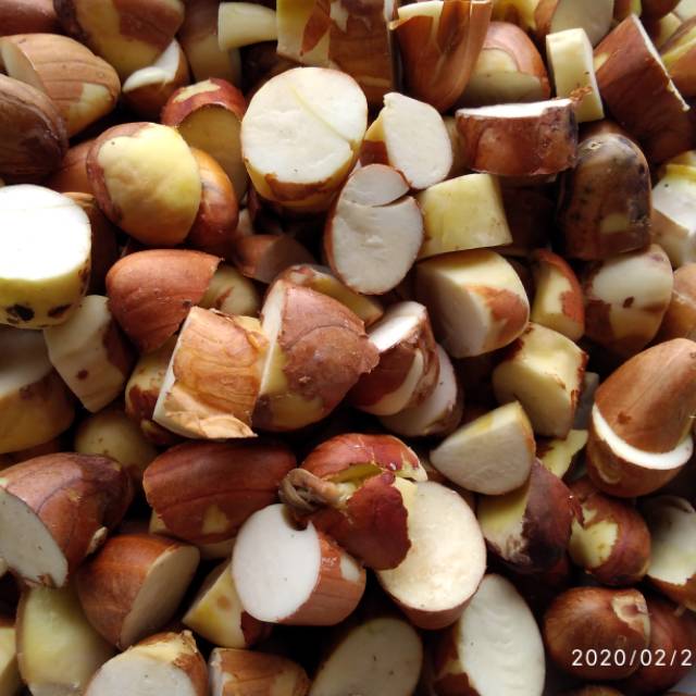 Biji Nangka Kupas fresh. Beton Nangka Kupas fresh 1kg
