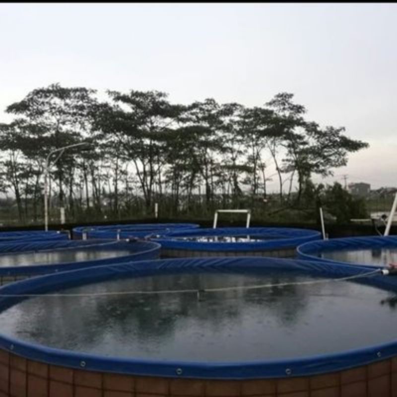 kolam bulat D3 T1,2 FULLSET wiremesh