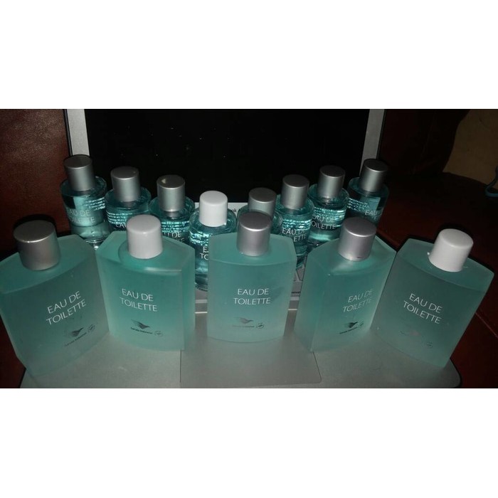 EDT Eau De Toilette garuda indonesia 100ml ori