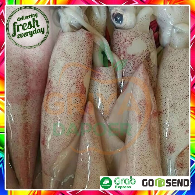 

CUMI CUMI SEGAR - 250 GRAM