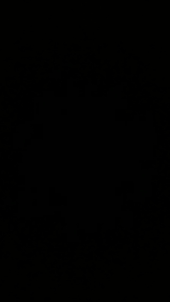 Eria Retusa Anggrek Eria Dewasa Anggrek Mini Anggrek Spesies Murah Species Orchids From Java