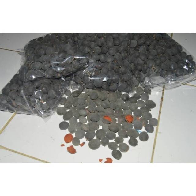 

asam kranji/koranji/keranji/kuranji/tamarind velvet