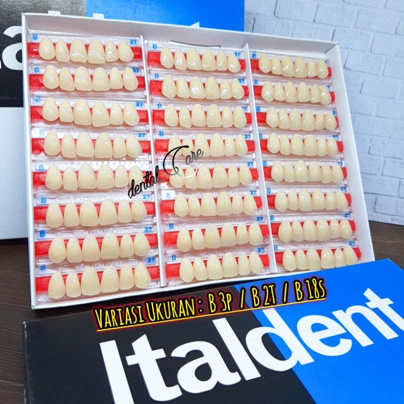 Italdent Gigi palsu Depan Atas  Warna [ B ] Ukuran 3p 447 17 18 18s 2T 1 Strip Isi 6 buah Gigi )