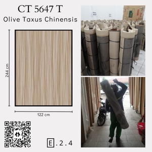 Carta HPL CT 5647 T Olive Taxus Chinensis GOSEND GRAB BANDUNG
