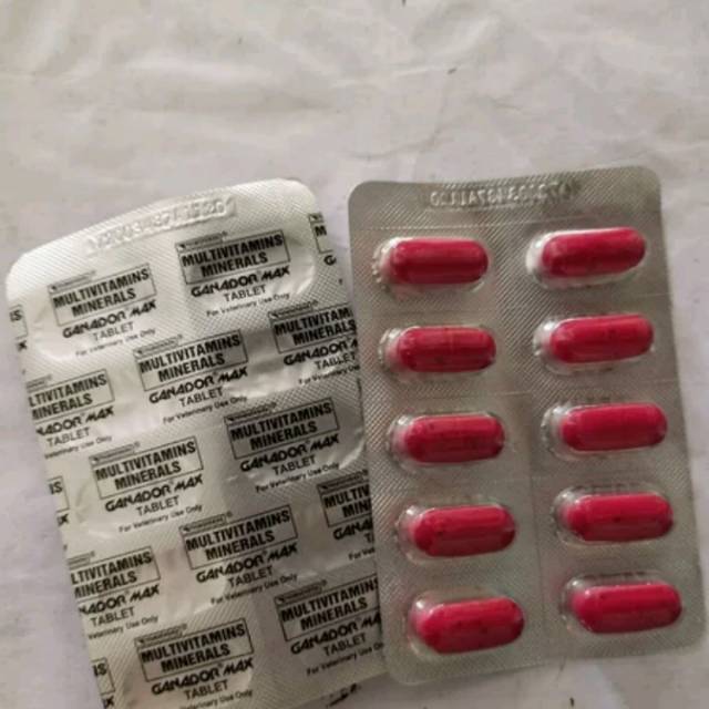 Ganador max multivitamin mineral ayam pisau