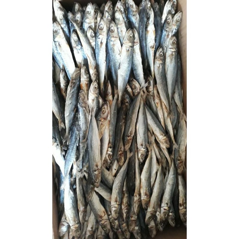 

Ikan Asin Layang ( Klotok Asin ) | Ikan Kering